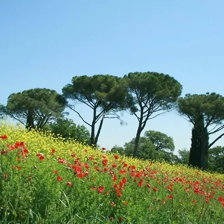 Caioncola Sleeps 6 Pool Wifi T763561 * Ravigliano